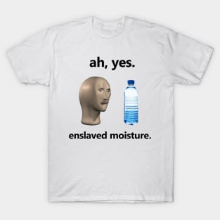 Ah Yes Enslaved Moisture T-shirt, Funny Dank Meme T-shirt, Meme Shirt, Surreal Meme T-shirt, Funny Meme Gift T-Shirt